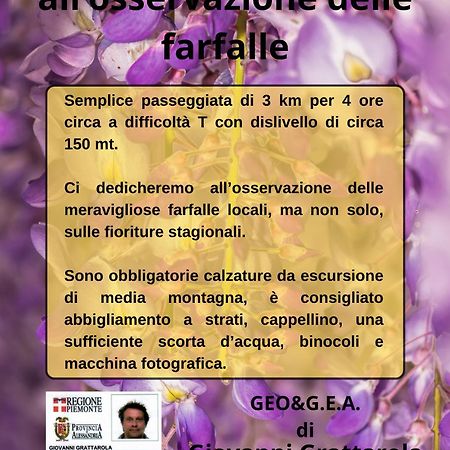 B&B Il Glicine Molare Cremolino Exterior photo